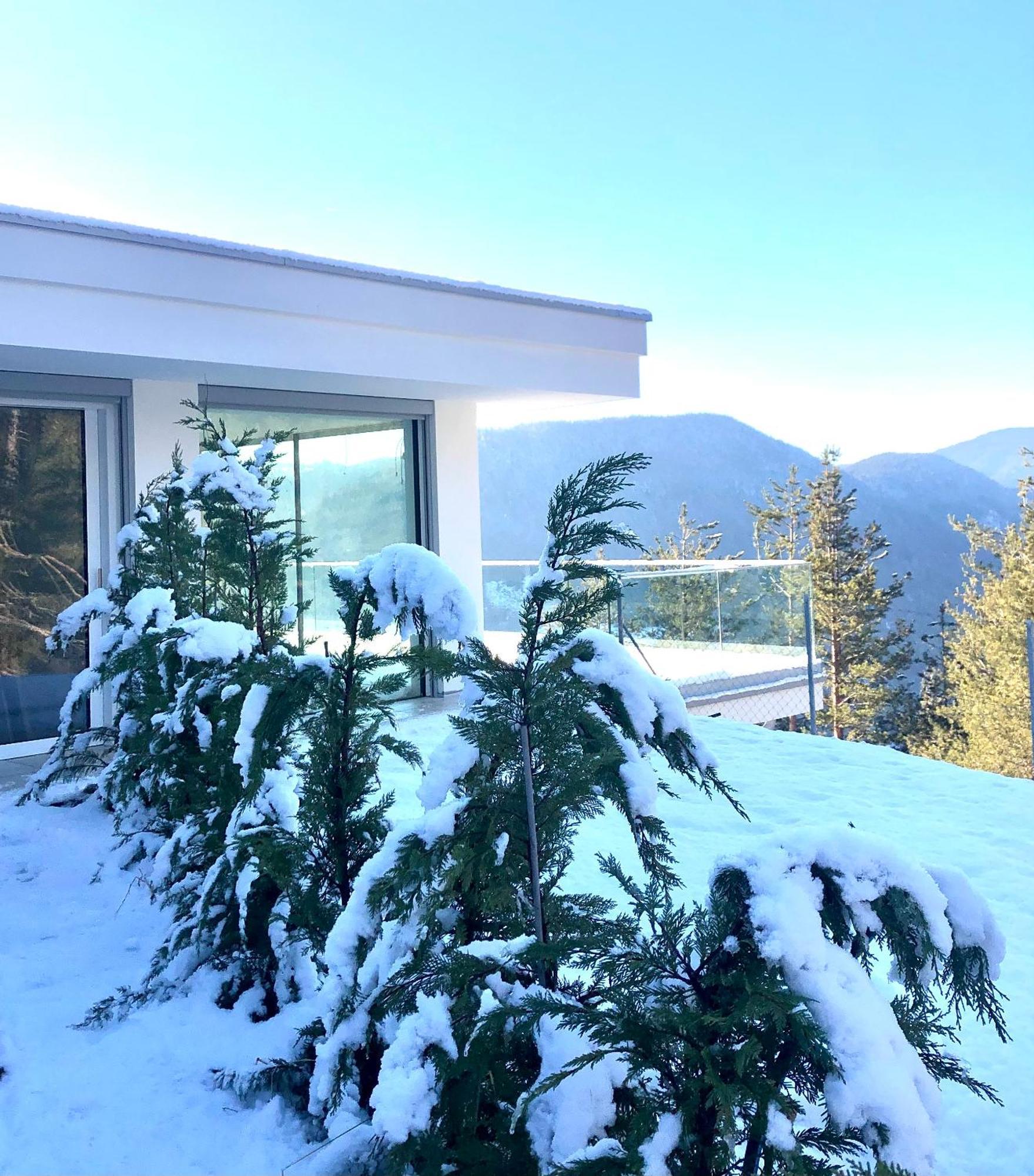 Chalet Tschattlhof Dolomites Cavalese Exterior foto