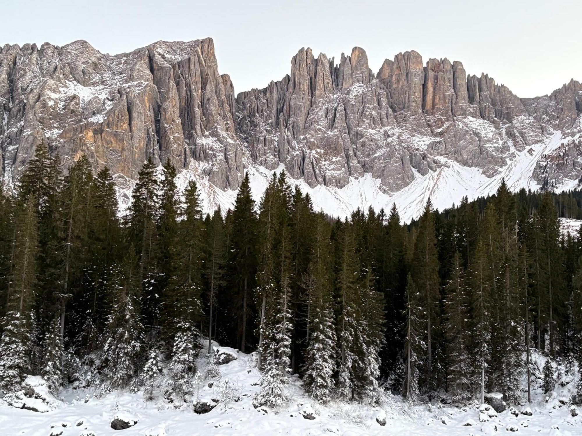 Chalet Tschattlhof Dolomites Cavalese Exterior foto